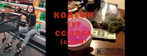 шишки Белокуриха