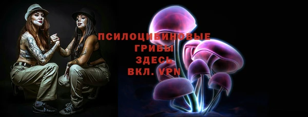 шишки Белокуриха